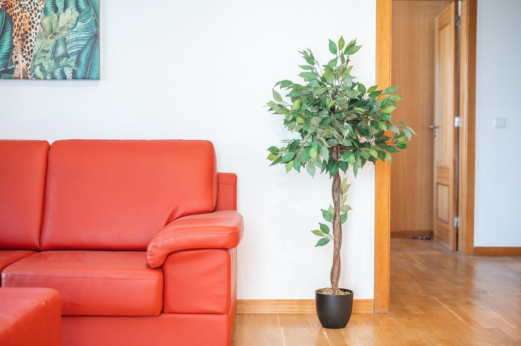 Sao Tiago Appartement